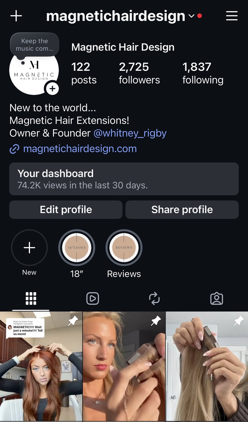 Instagram profile before the Edit Haus refresh: white logo, mixed content